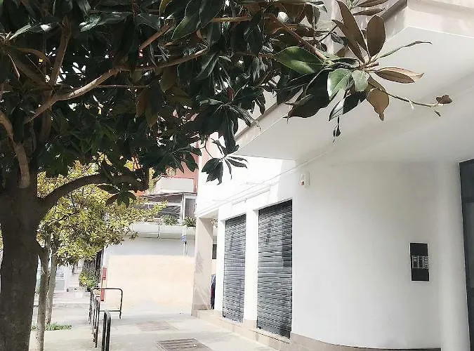 Daire Colourful Living